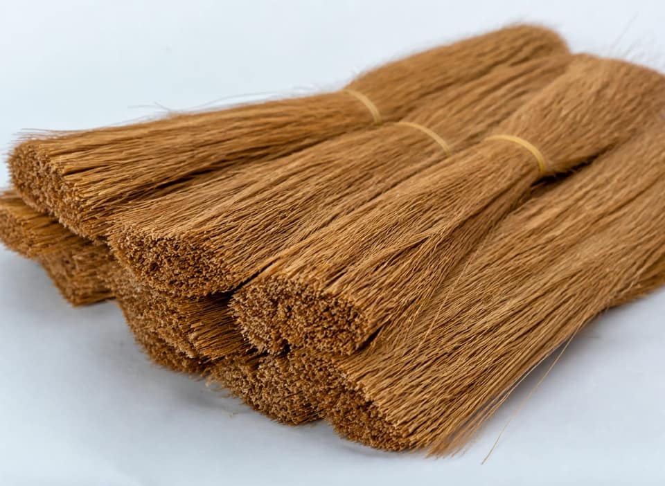 Coco Bristle