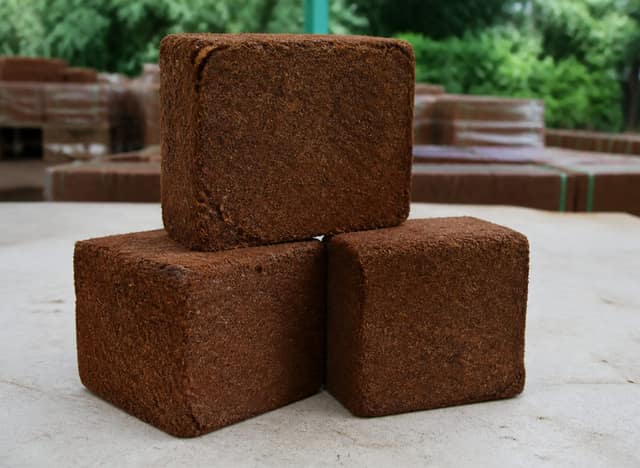 Cocopeat Block High EC