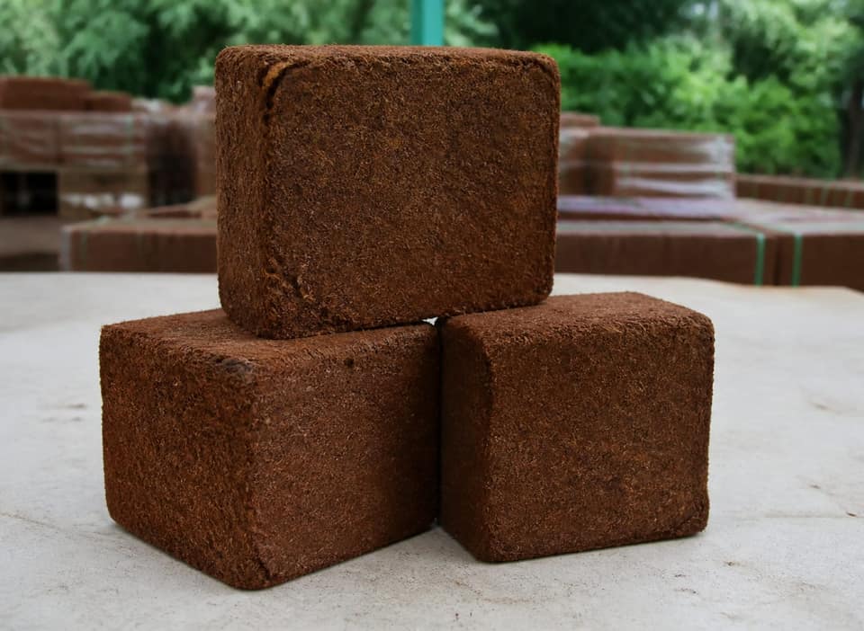Cocopeat Block High EC
