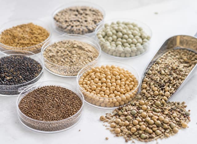 Cover Crop Seeds