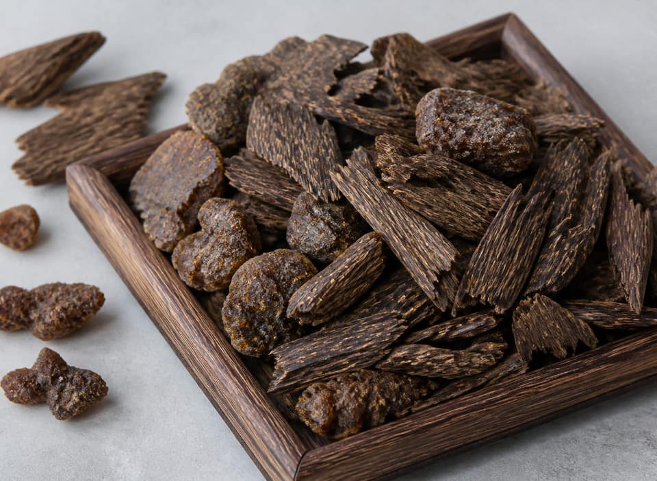 Gaharu (Agarwood)